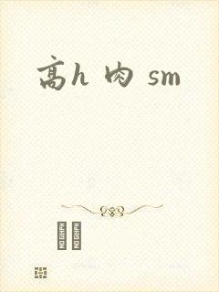 高h 肉 sm