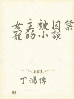 女主被囚禁当禁宠的小说