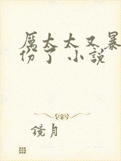 厉太太又暴露身份了 小说封面