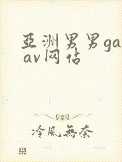 亚洲男男gay av网站