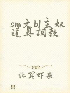 sm文bl主奴道具调教