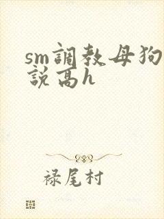 sm调教母狗小说高h