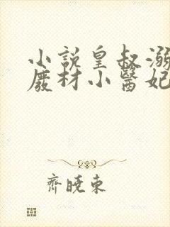 小说皇叔溺宠:废材小医妃免费