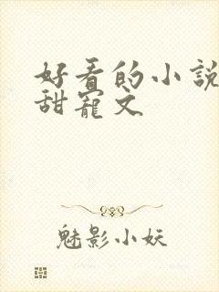 好看的小说言情甜宠文