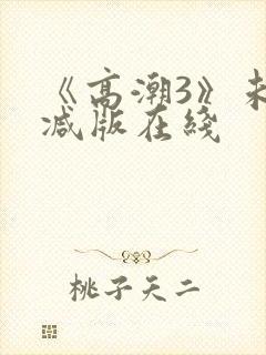 《高潮3》未删减版在线