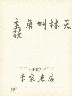 主角叫林天的小说