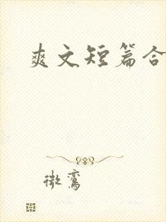 爽文短篇合集(封面