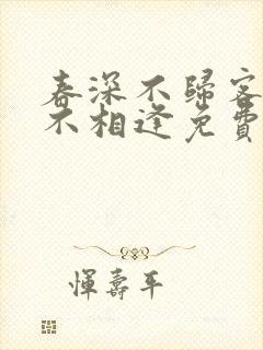 春深不归客清梦不相逢免费阅读大结局封面