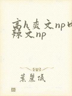 高h爽文np肉辣文np