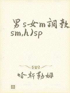 男s女m调教(sm,h)sp
