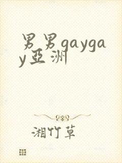 男男gaygay亚洲