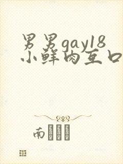 男男gay18小鲜肉互口1封面