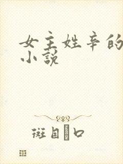 女主姓辛的现代小说封面