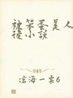 被笨蛋美人绑架后小说封面