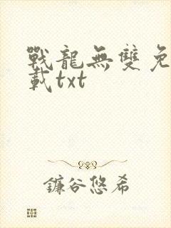 战龙无双免费下载txt封面