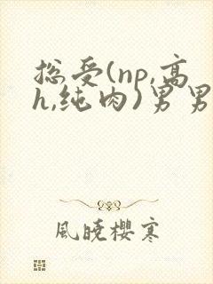 总受(np,高h,纯肉)男男