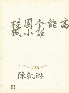 校园全能高手季枫小说