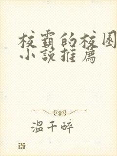 校霸的校园甜宠小说推荐封面