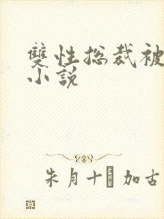 双性总裁被调教小说