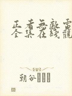 正者无敌电视剧全集在线观看免费