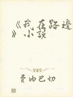 《我在路边算命》小说