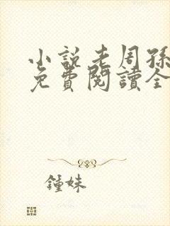 小说老周孙雪倩免费阅读全文