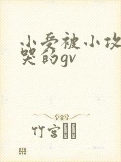 小受被小攻做到哭的gv