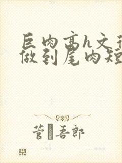 巨肉高h文从头做到尾肉短文