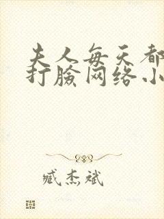 夫人每天都在线打脸网络小说封面
