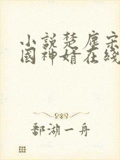 小说楚尘宋颜镇国神婿在线阅读封面
