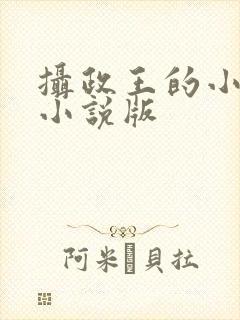 摄政王的小闲妻小说版