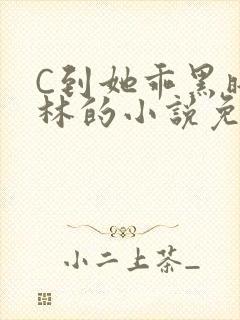 C到她乖黑暗森林的小说免费