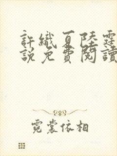 许织夏陆霆渊小说免费阅读最新章节封面