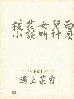 校花女儿白洛菡小说叫什么名字