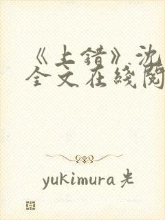 《上错》沈南初全文在线阅读笔趣阁