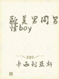 欧美男同另类激情boy