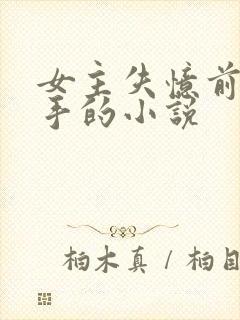 女主失忆前是杀手的小说封面
