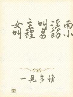 女主叫溪南男主叫程易的小说封面