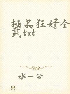 极品狂婿全本下载txt封面