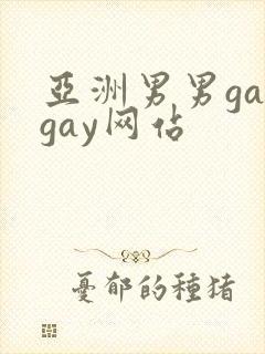 亚洲男男gaygay网站
