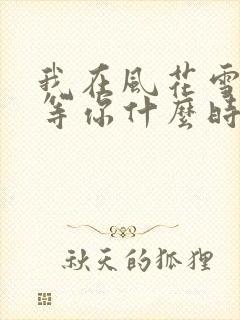 我在风花雪月里等你什么时候写的