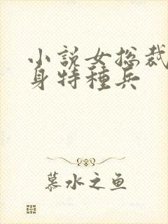 小说女总裁的贴身特种兵