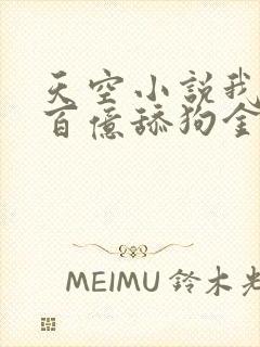 天空小说我拥有百亿舔狗金