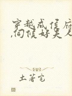 穿越成侯府贵妾,伺候好夫人的小说
