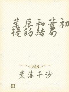 叶辰和萧初然最后的结局封面