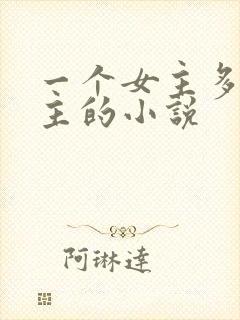 一个女主多个男主的小说封面