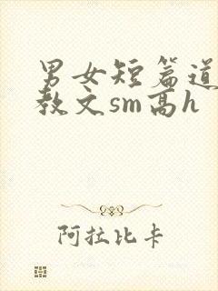 男女短篇道具调教文sm高h