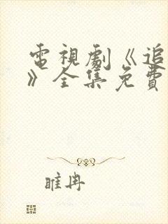 电视剧《追击者》全集免费播放