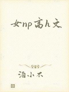 女np高h文