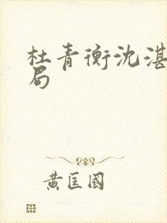 杜青衡沈湛大结局